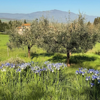 italian countrysde